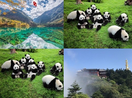 Let's Meet in Chengdu! SKE Booth No. B2148 - Exhibition Preview | MICONEX 2024!