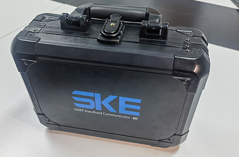 SKE0720-2.png